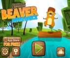 Beaver River Dance
