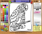 Coloring Parrot