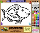 Fish Online Coloring