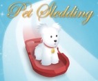 Pet Sledding