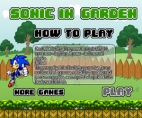 Sonic In Garden