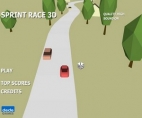 Sprint Race 3D